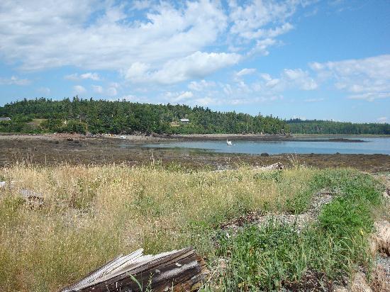 Cobscook Bay Cottages