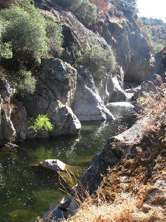 Paradise Canyon Cabins