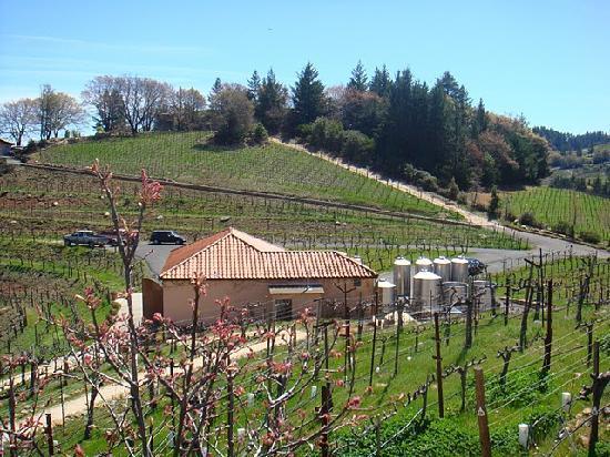 Max Napa Tours