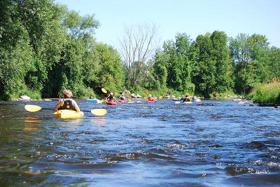 Kayak Safari