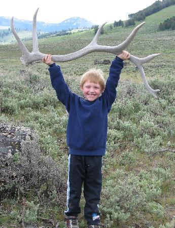 Yellowstone Glacier Adventures -Tours