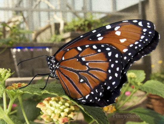 River Bend Nature Center