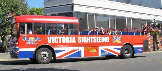 Big Bus Victoria