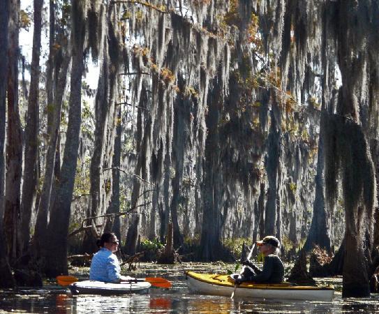 Louisiana Lost Lands Environmental Tours