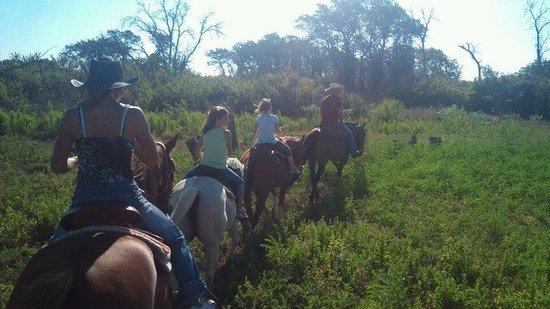 Texas Trail Riding Co.