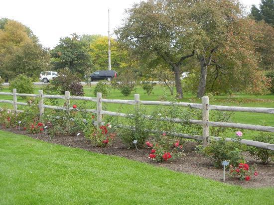 Central Experimental Farm