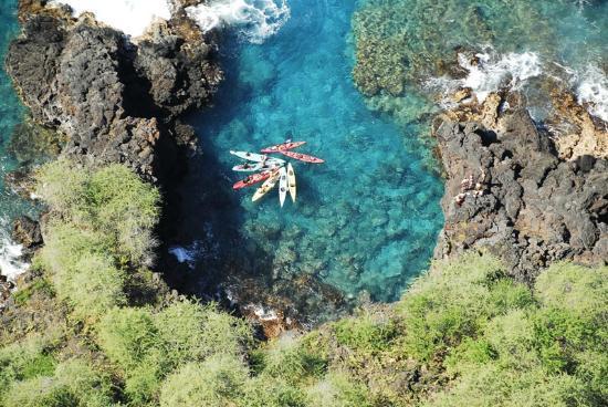 Ocean Safaris Kayak Adventures