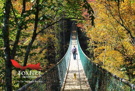 Foxfire Mountain Swinging Bridge