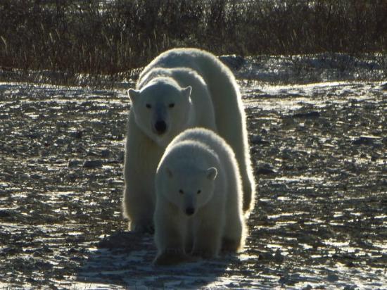 Classic Canadian Tours