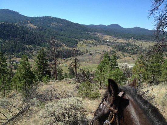 Erin Valley Riding Stables