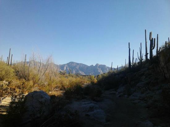 Honey Bee Canyon Trail