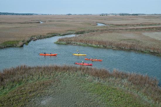 Southeast Adventure Outfitters