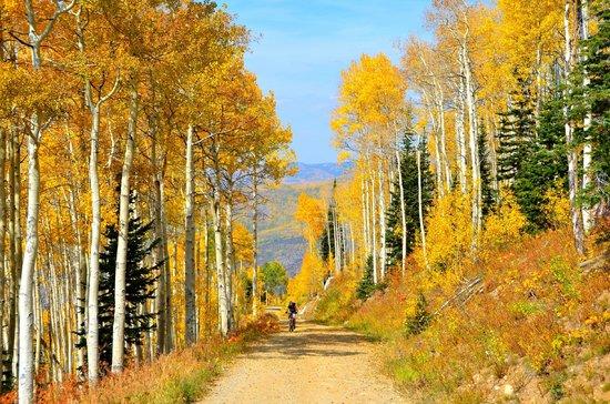 Steamboat Springs Chamber Resort Association Visitor Center