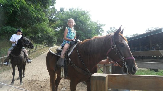 Canyon Creek Horseback Riding Stables