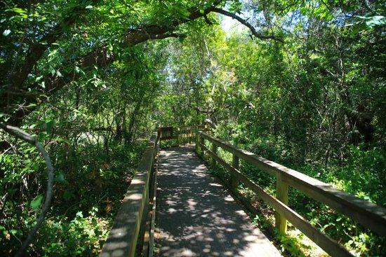 Hoop Pole Creek Nature Trail