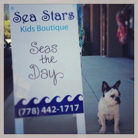 Sea Stars Kids Boutique