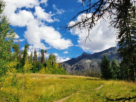 Fourmile Falls Trail