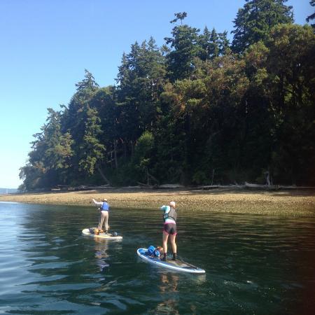 Salmon Bay Paddle - Day Adventures