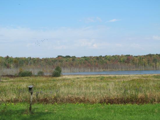 Great Swamp Conservancy