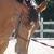 Photo of Ottb610