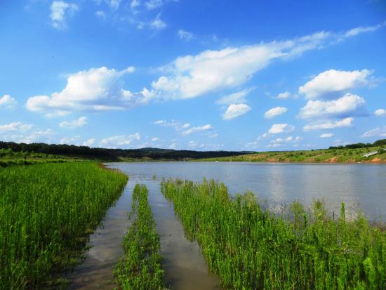 Turkey Bend Recreation Area