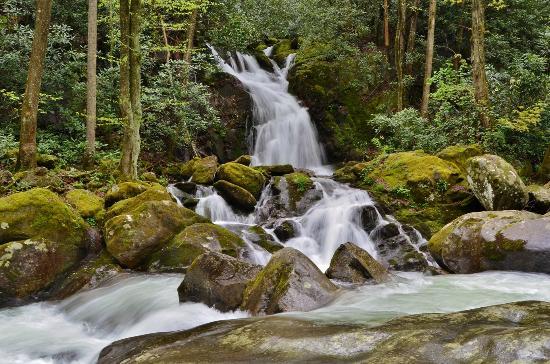 Mouse Creek Falls