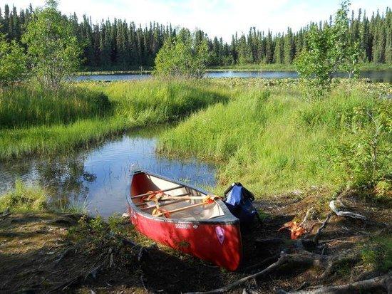 Take Refuge Canoe Day Trips