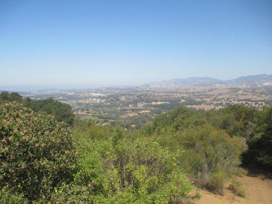 Santa Ynez Canyon