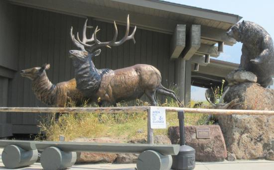 Jackson Hole & Greater Yellowstone Visitor Center