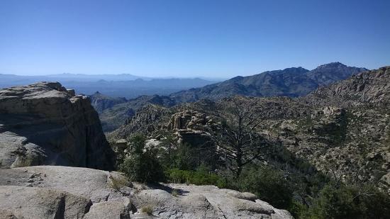 Mount Lemmon