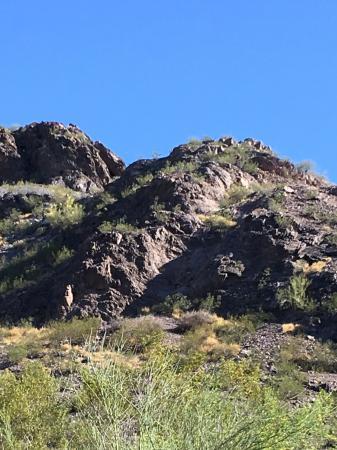 Hayden Butte Preserve