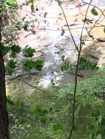 Lake Metroparks Greenway Corridor