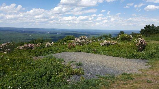 Big Pocono State Park