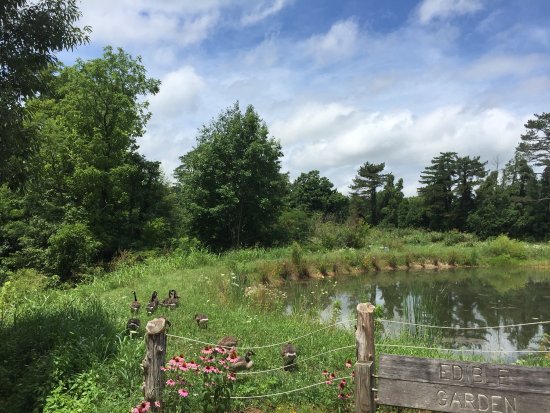 Bernheim Arboretum & Forest