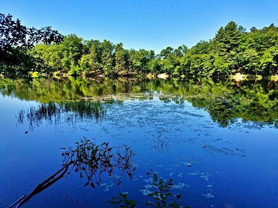 Puffer's Pond