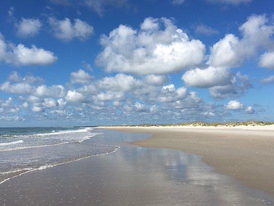 Masonboro Island Reserve