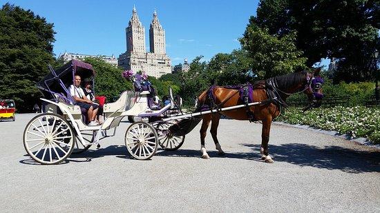 Central Park Horse & Carriage Tour