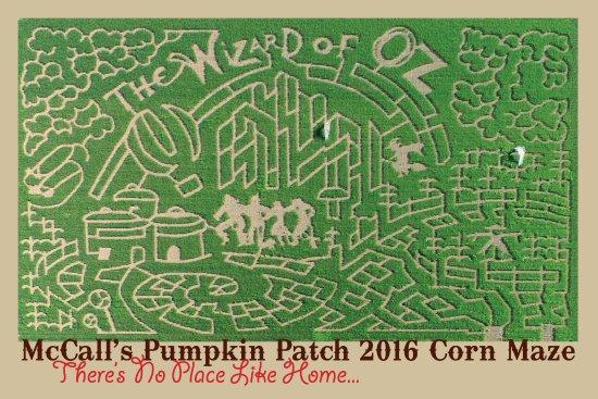 McCall's Pumpkin Patch