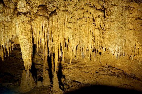 Mammoth Cave National Park