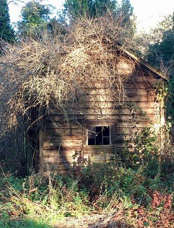 Burleigh Murray Ranch State Park