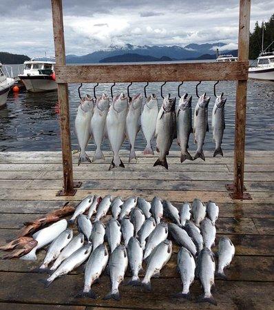 Fish Finder Charters