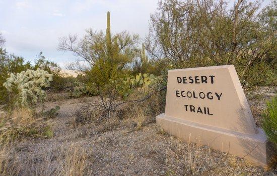 Desert Ecology Trail