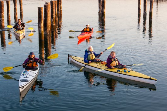 Whidbey Island Kayaking