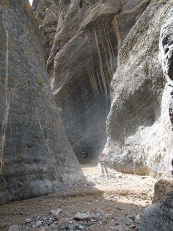 Cottonwood & Marble Canyon Loop