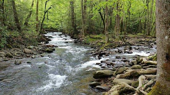 Gatlinburg Trail