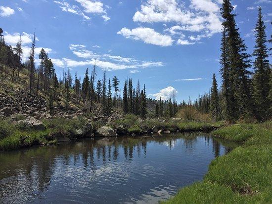 Thompson Trail (Forest Service Trail 629)