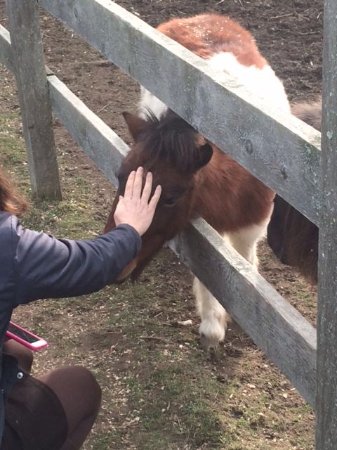 Snug Harbor Farm