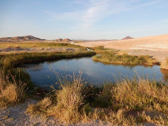 Tecopa Hot Springs