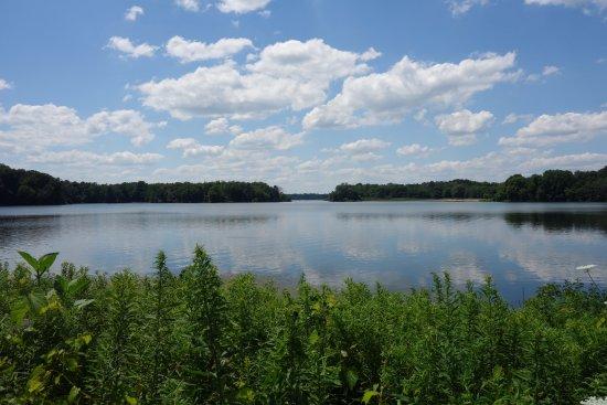 Potato Creek State Park