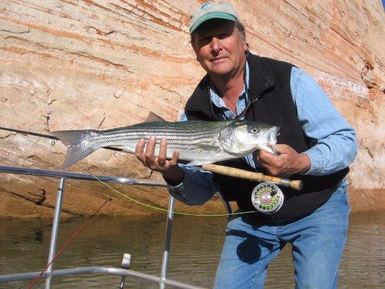 Ambassador Guides Lake Powell Striper Fishing